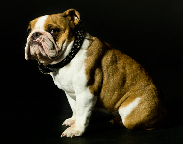 Renacer verde mediano